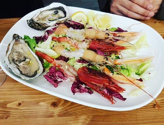 Max Fish & Lobster